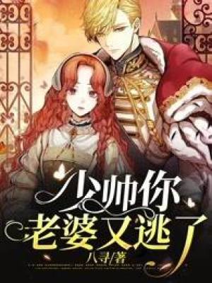 少帅你老婆又逃了